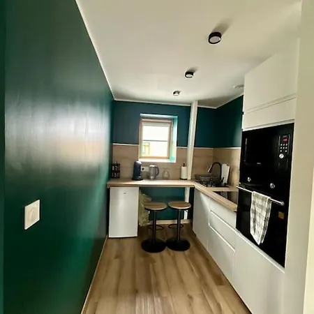 Le Loft Emeraude Apartment *